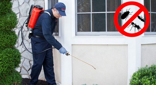 Perşembe Bit İlaçlama böcek ilaçlama ve haşere kontrolü — ilaclama-tr.com